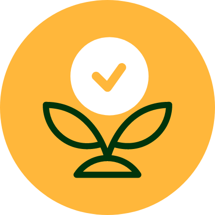 الجودة أولاً